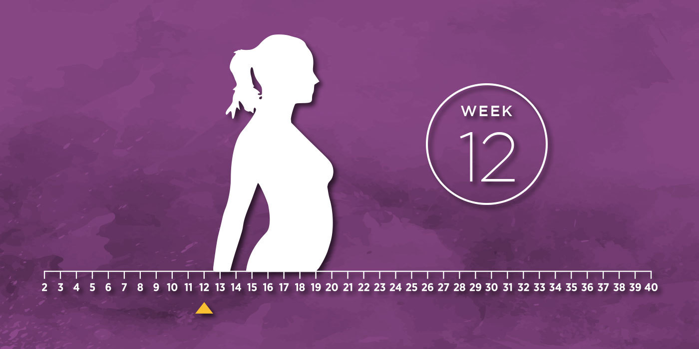 Missed Period with Negative Pregnancy Test (12 Causes)