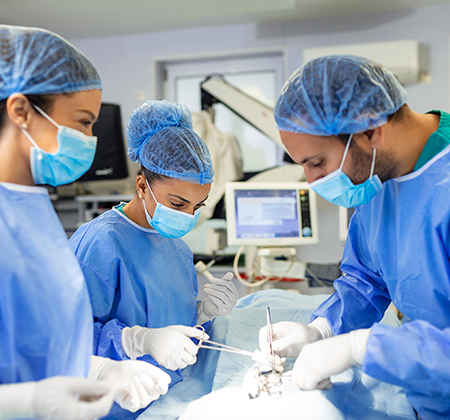 In Vitro Fertilization (IVF)